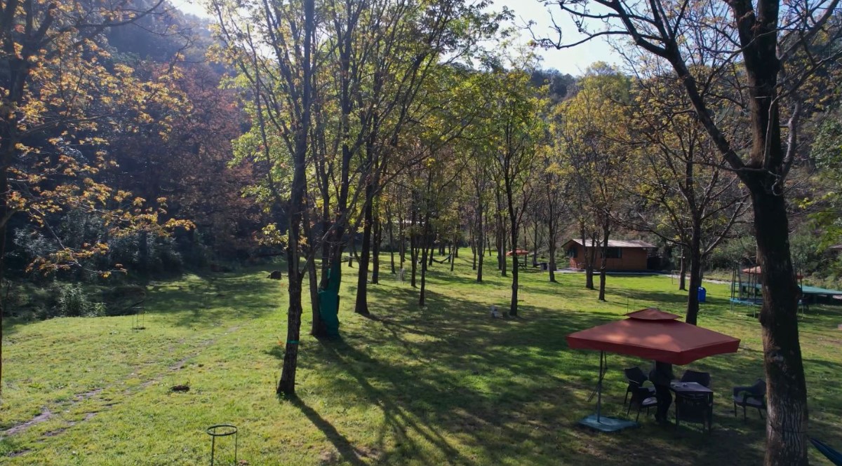 Property View 4